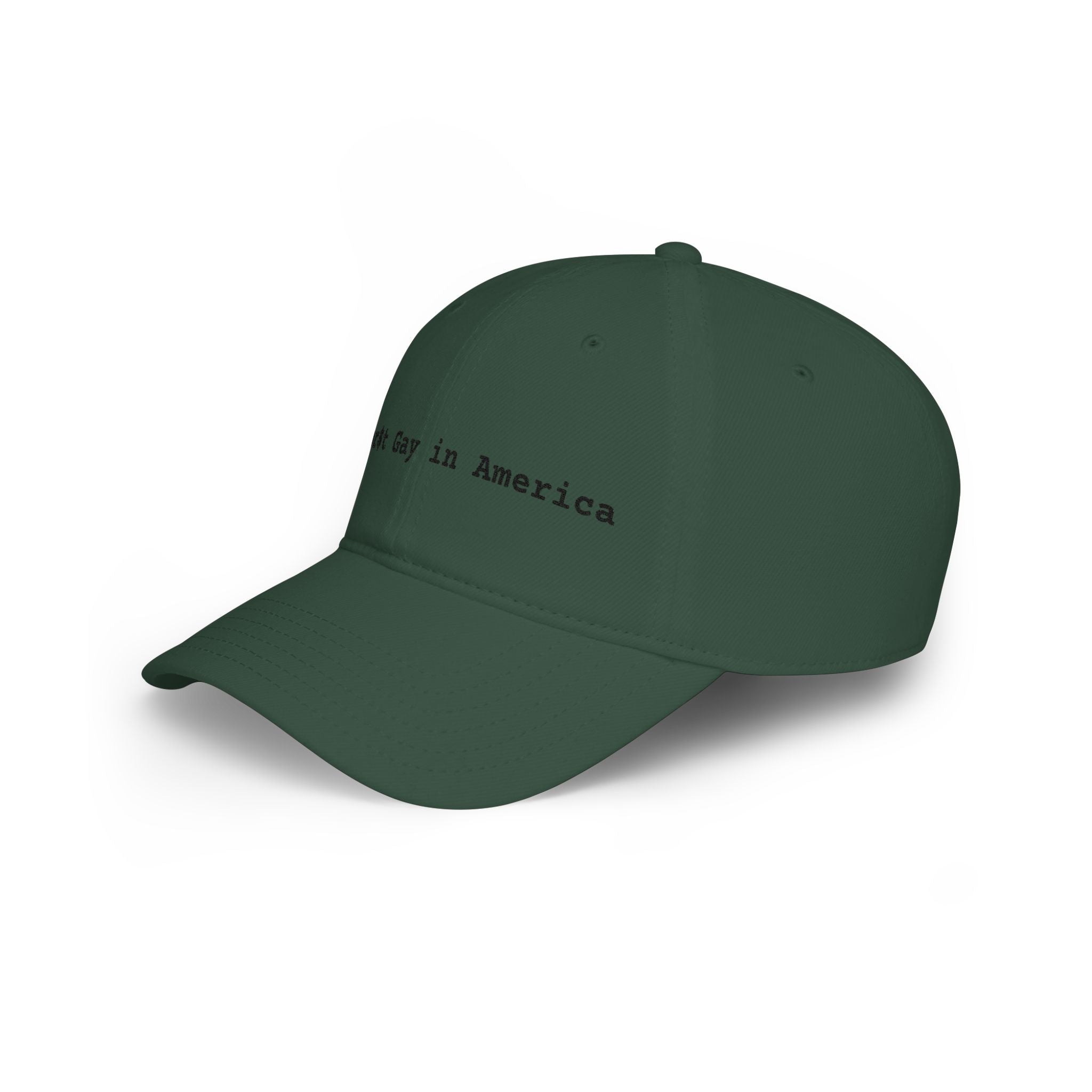 Worst Gay in America Baseball Cap — Low Profile Pride Hat